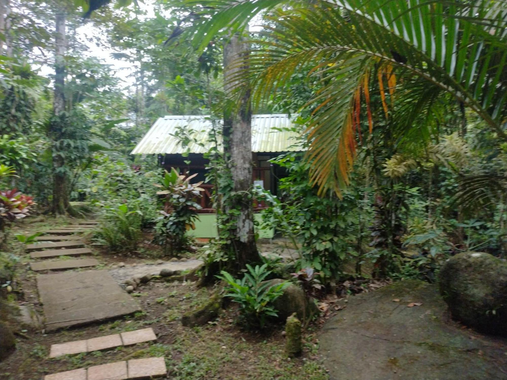 Guapote Lodge Тигра Номер фото