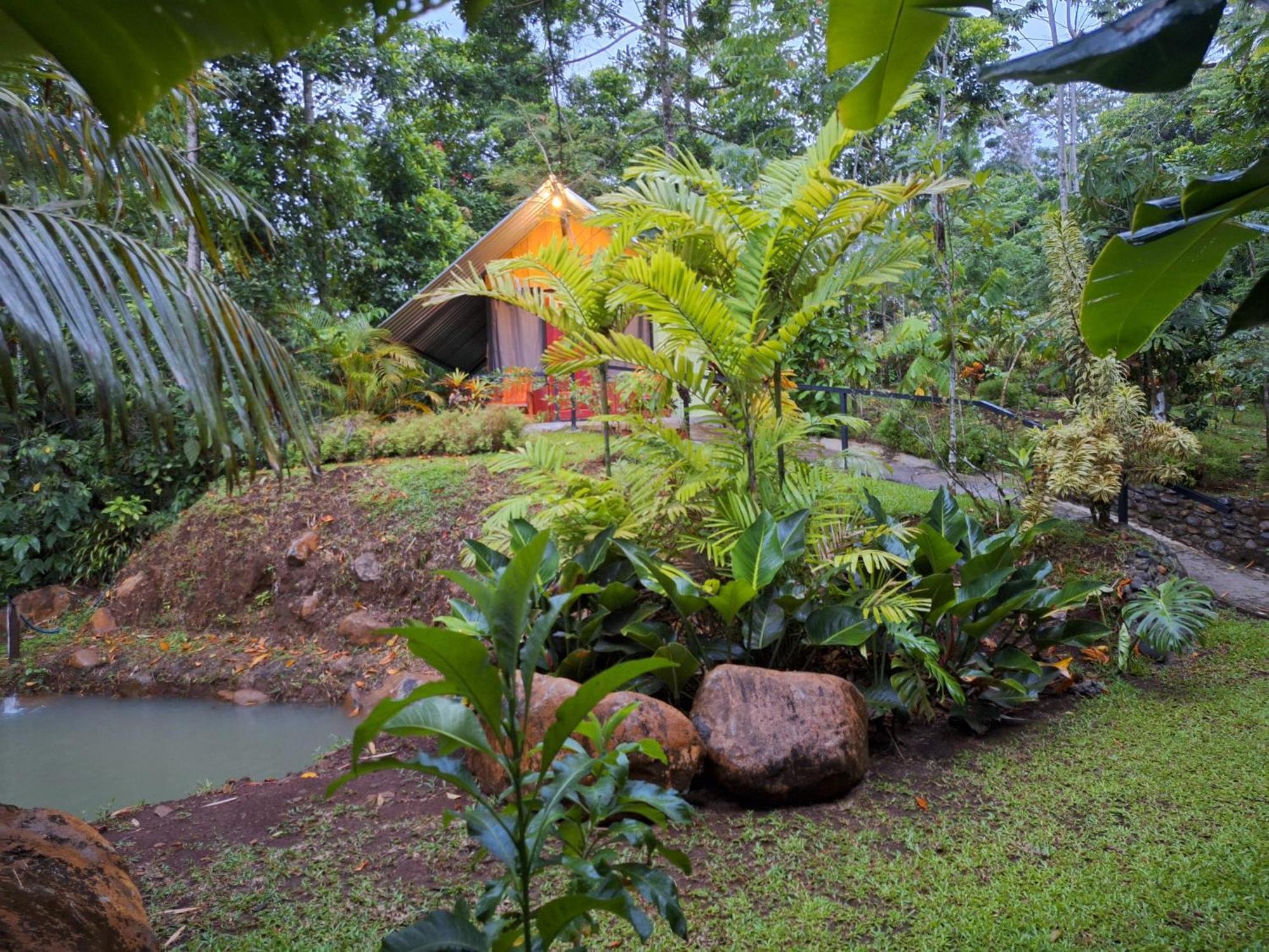 Guapote Lodge Тигра Номер фото
