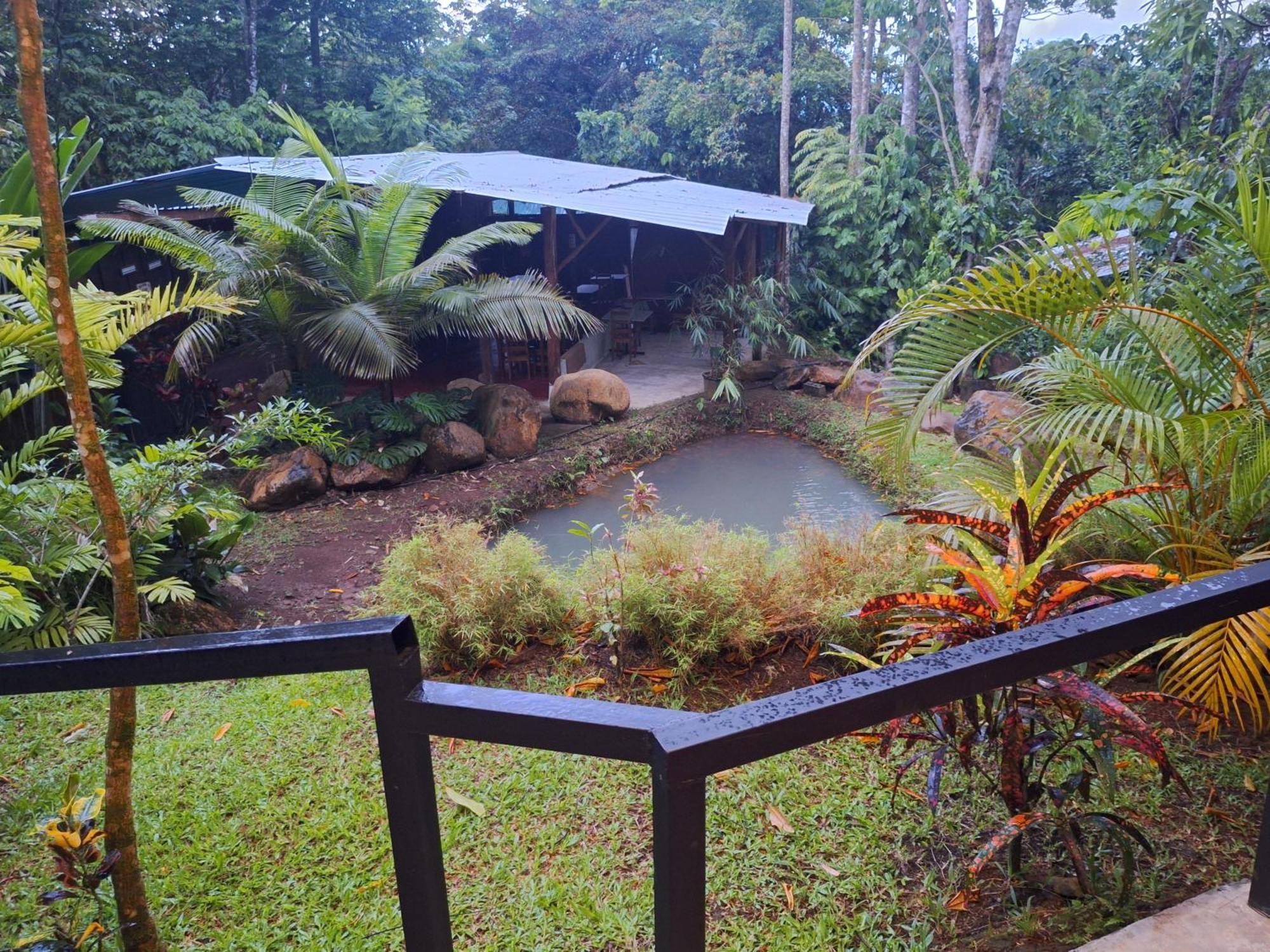 Guapote Lodge Тигра Номер фото
