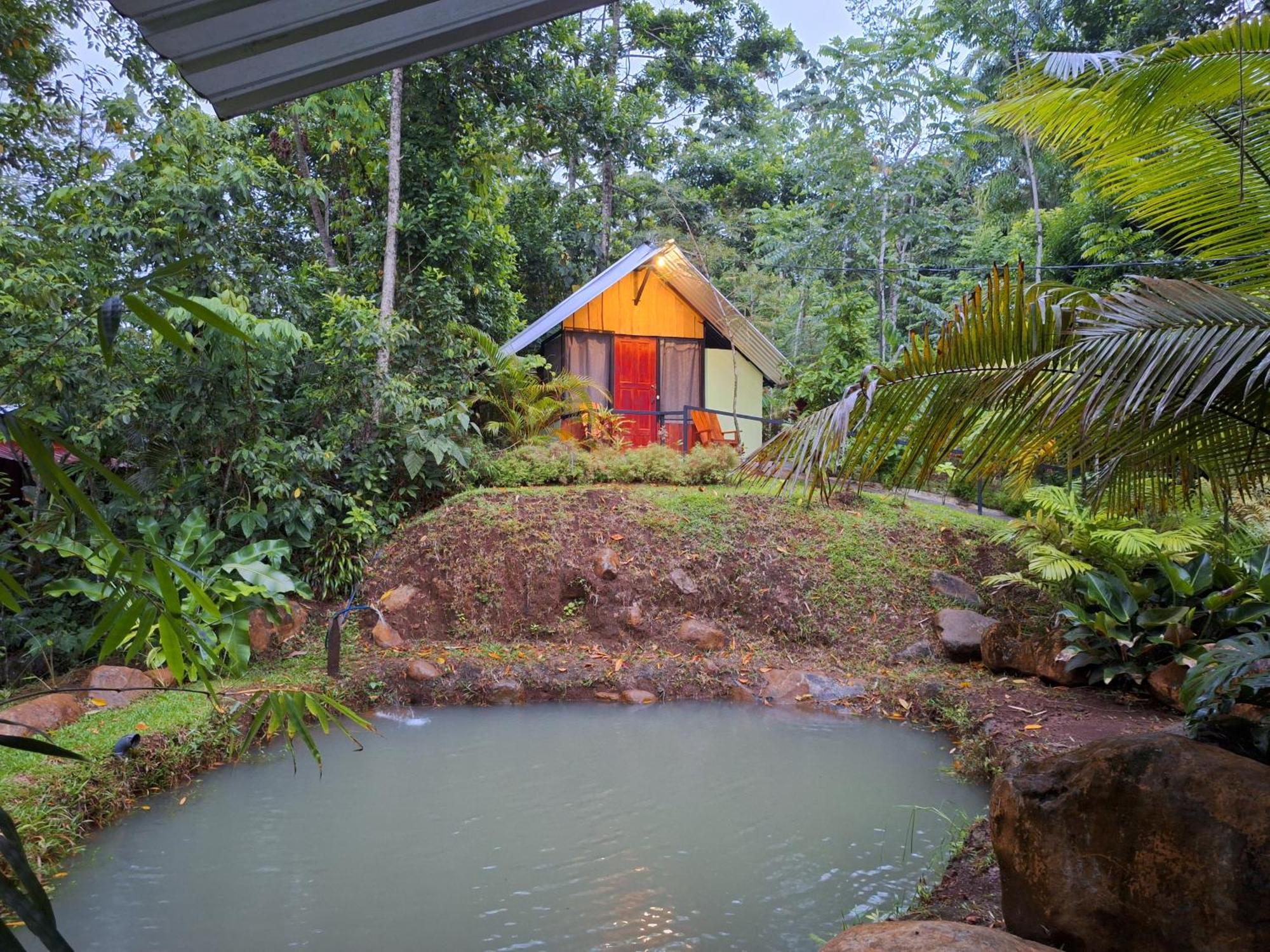 Guapote Lodge Тигра Номер фото