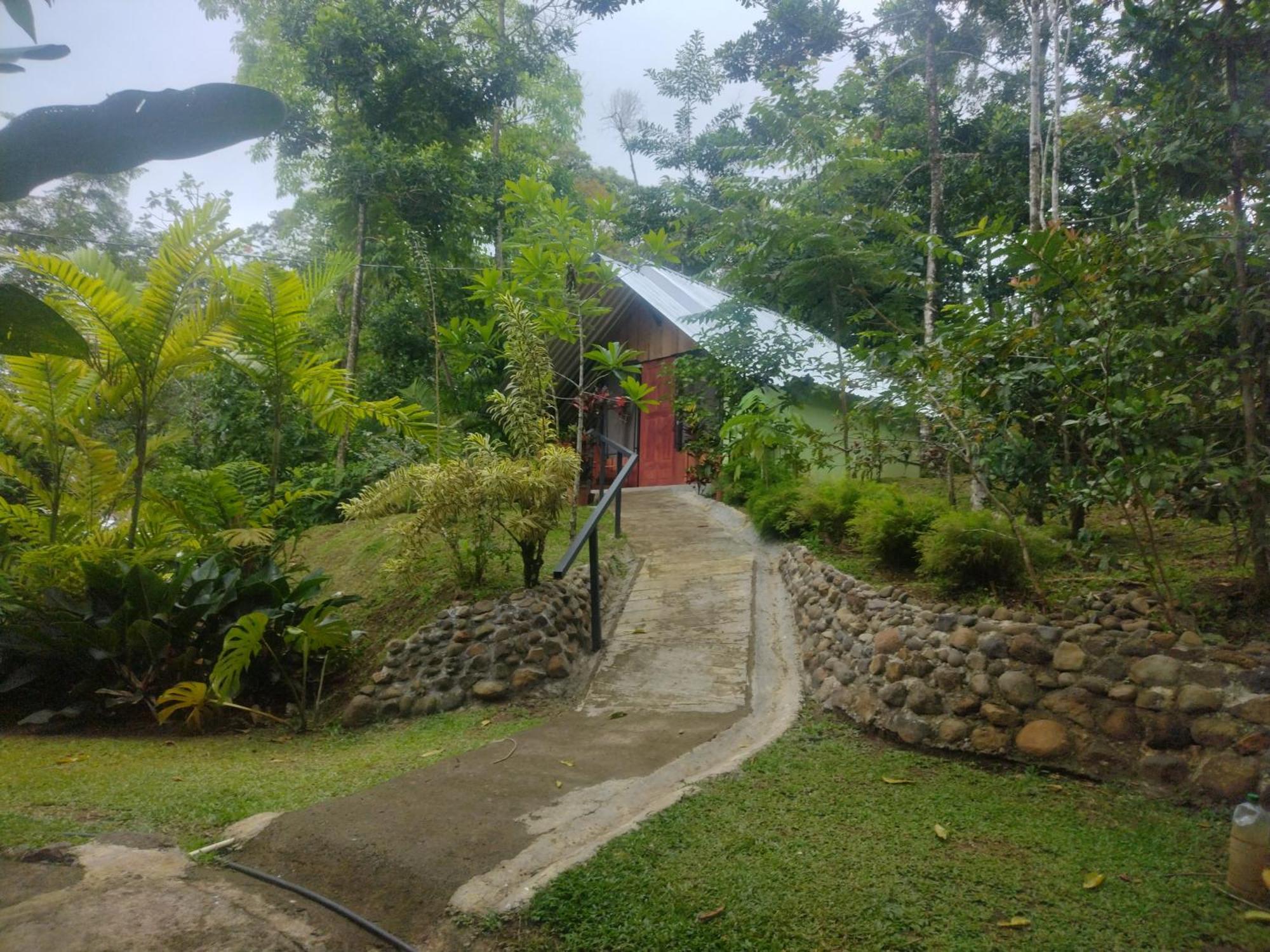 Guapote Lodge Тигра Номер фото