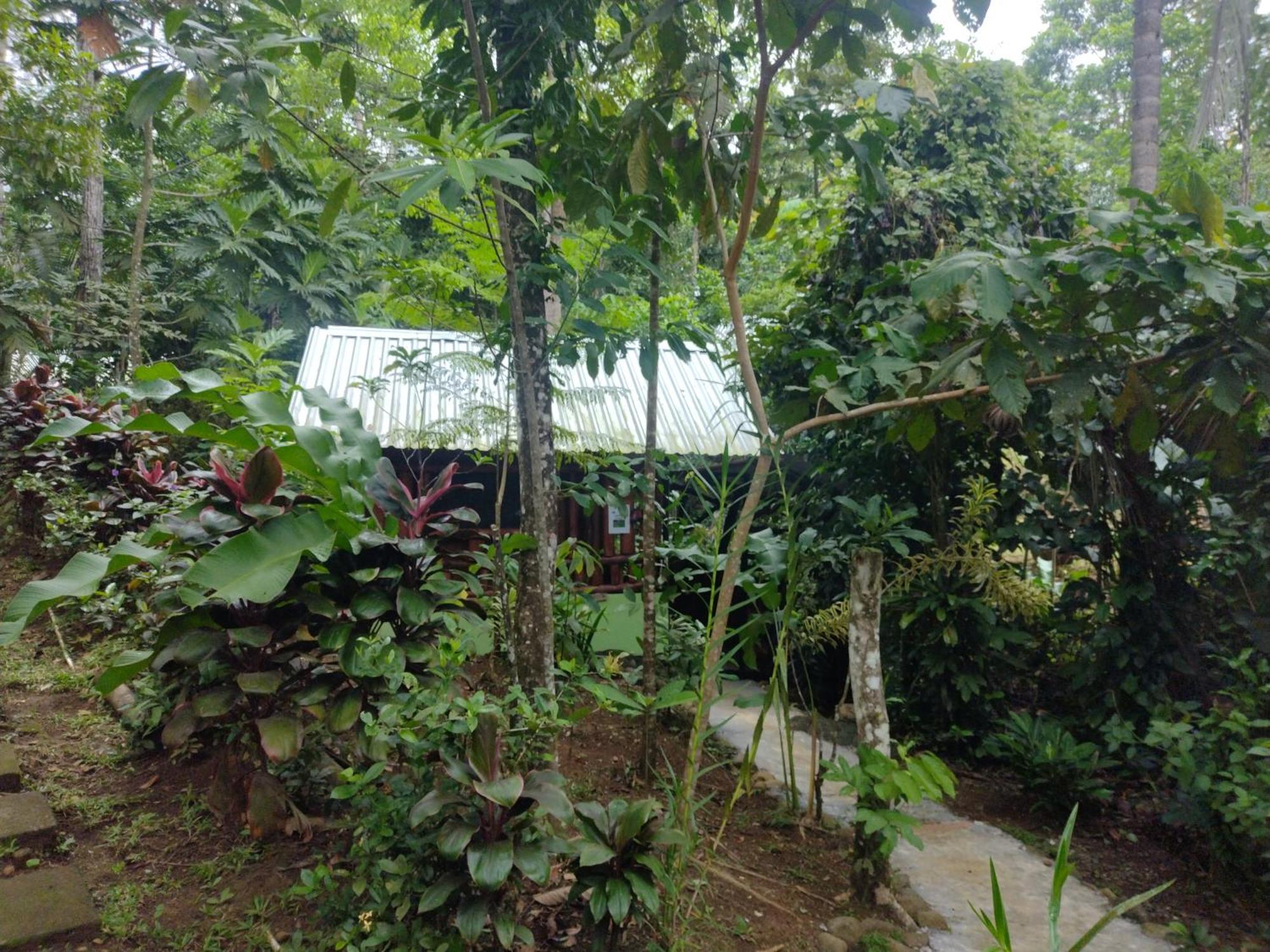 Guapote Lodge Тигра Номер фото