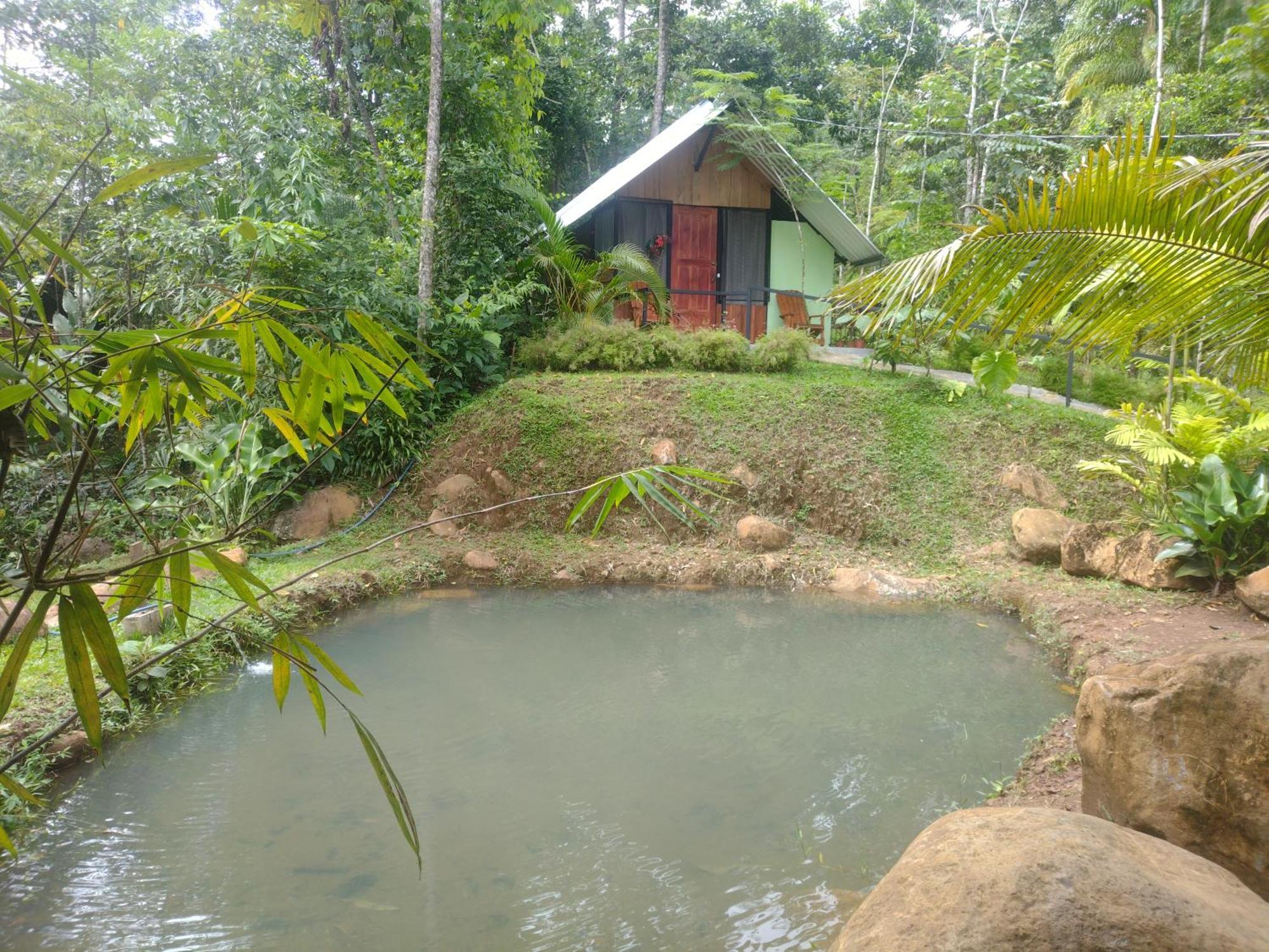 Guapote Lodge Тигра Номер фото