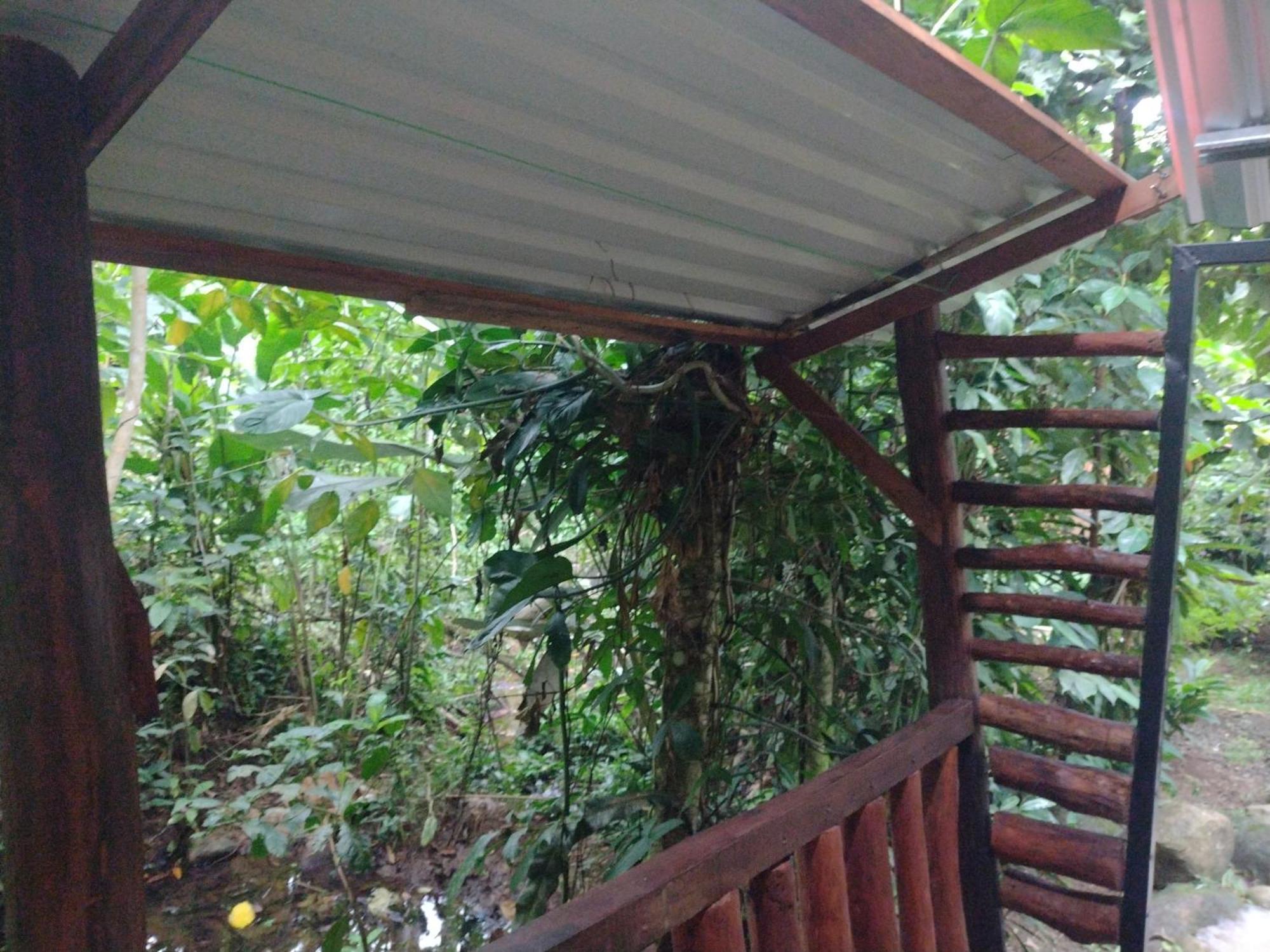 Guapote Lodge Тигра Номер фото
