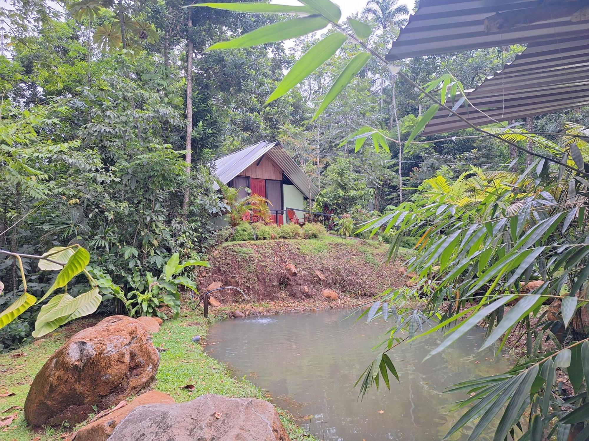 Guapote Lodge Тигра Номер фото