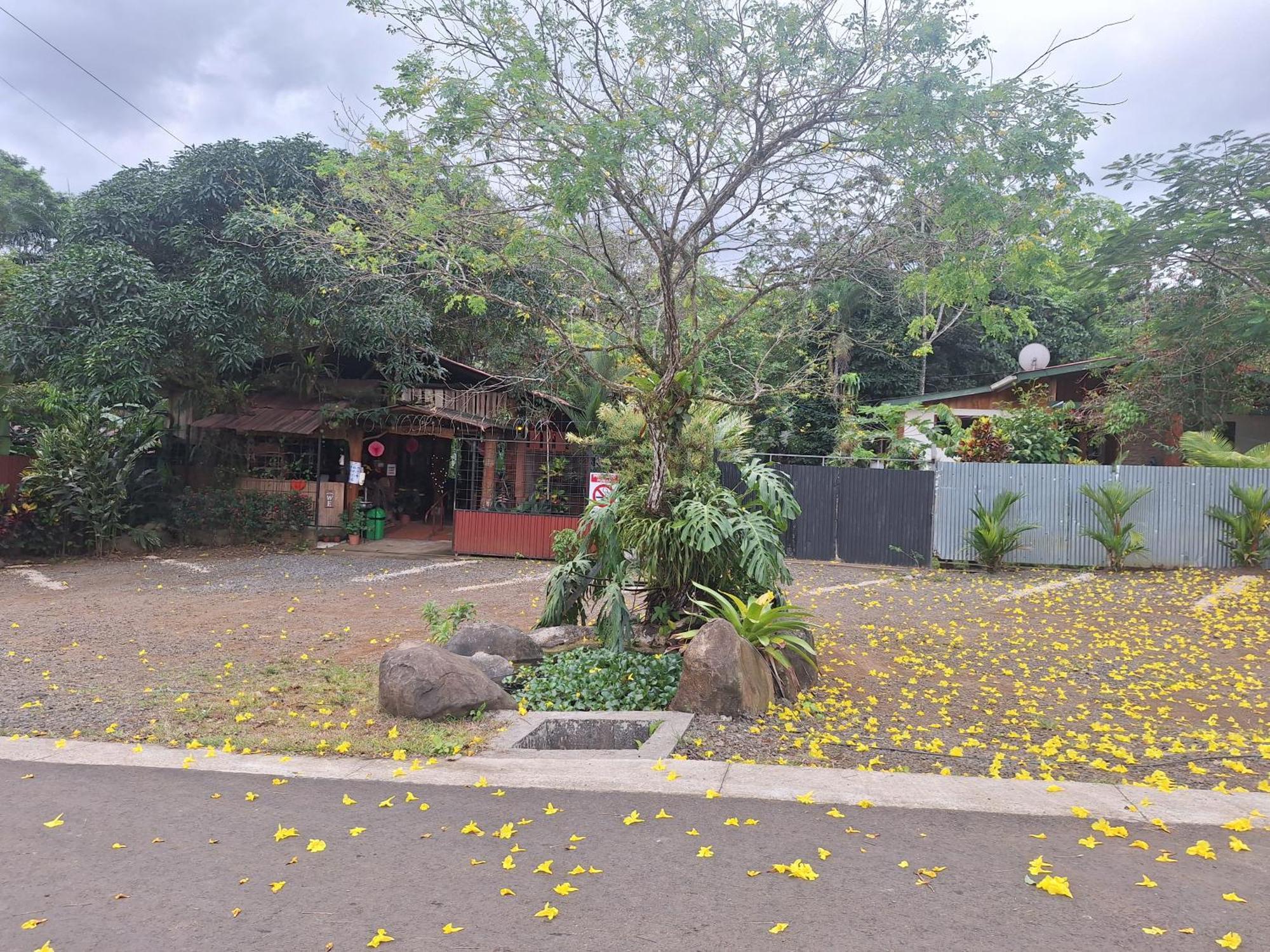 Guapote Lodge Тигра Экстерьер фото
