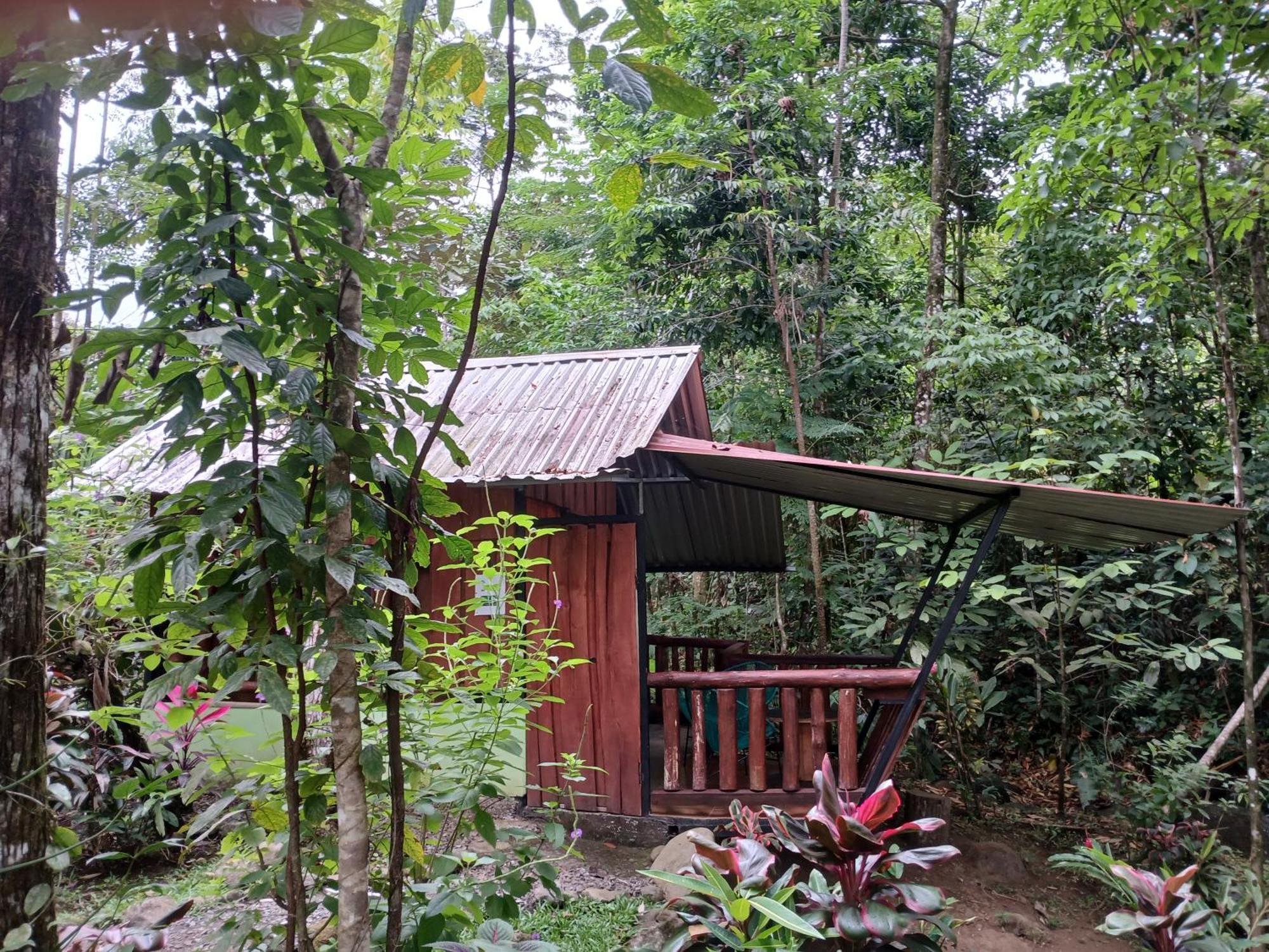 Guapote Lodge Тигра Номер фото