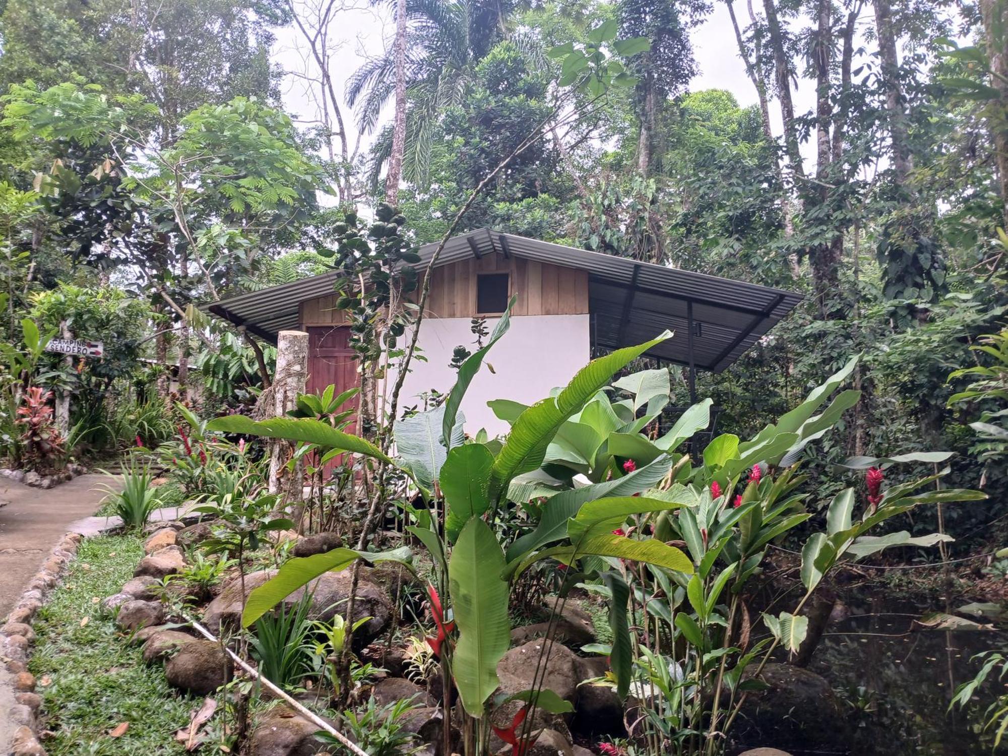 Guapote Lodge Тигра Номер фото